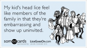 cute-little-lice-quote