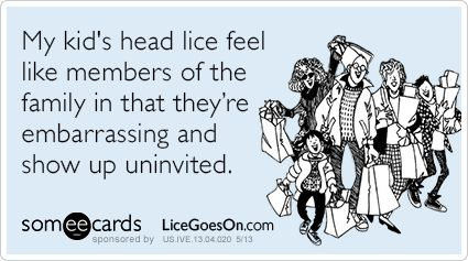 cute-little-lice-quote