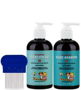 Hair Fairies Home Kit