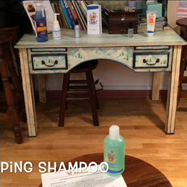 hair-fairies-nit-zapping-shampoo-cleans-your-hair-too.jpg